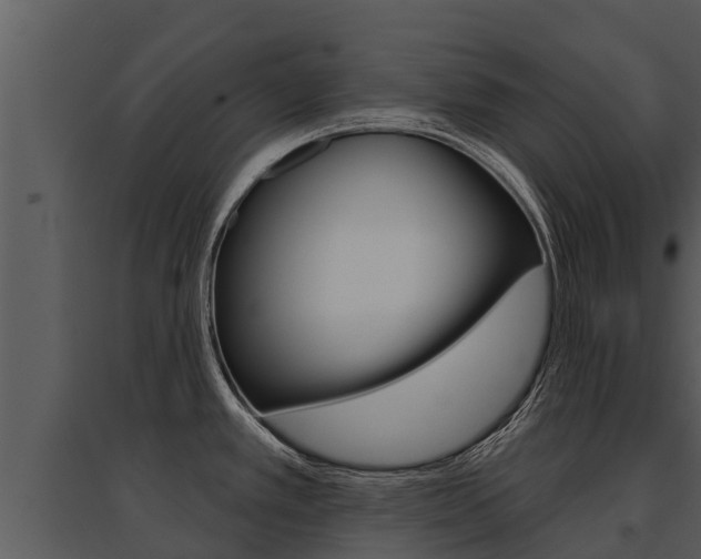 X0000095681389200801081053