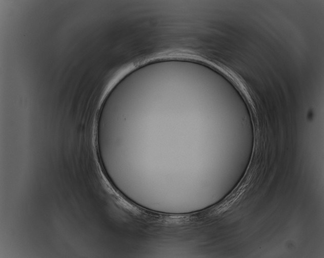 X0000095681390200801081053