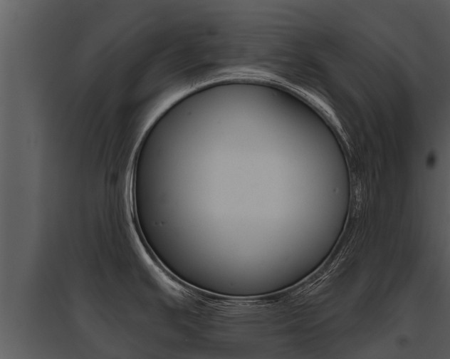 X0000095681391200801081053