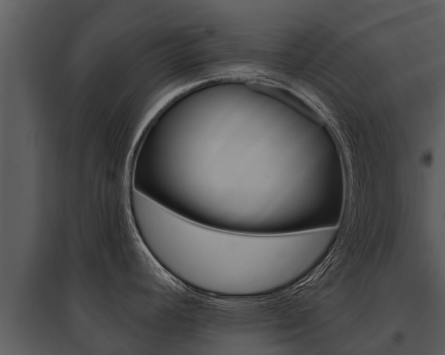 X0000095681392200801081053