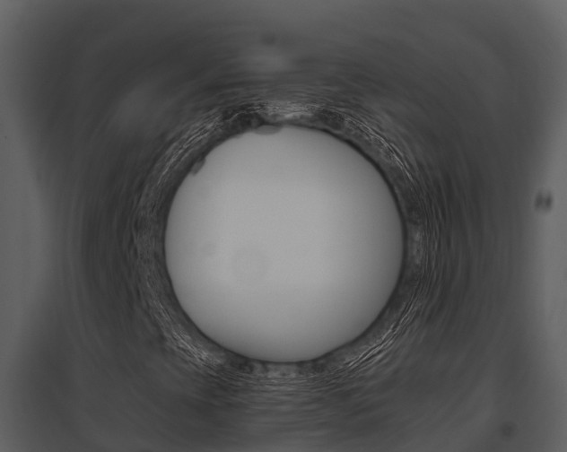 X0000095681393200801081052