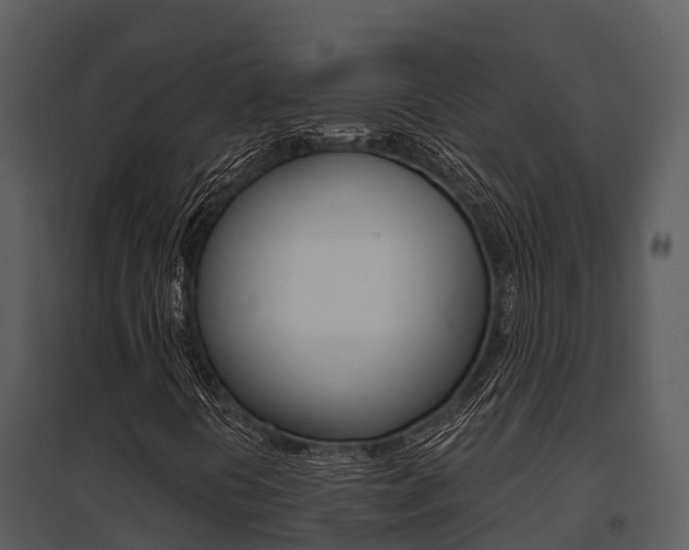 X0000095681394200801081052
