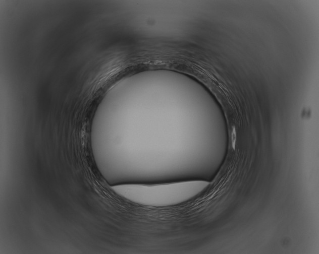 X0000095681395200801081052