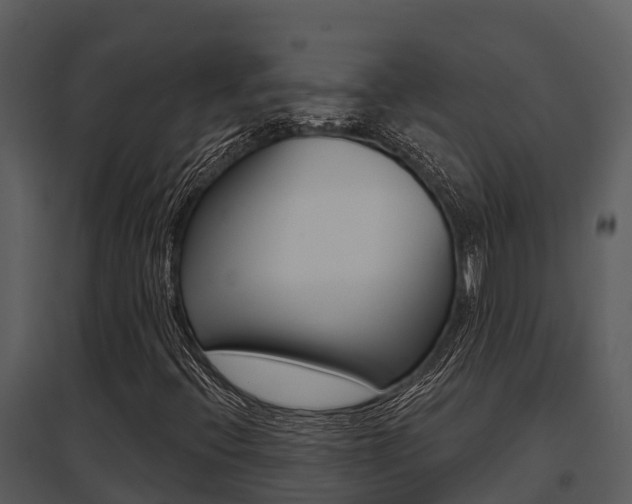 X0000095681396200801081052
