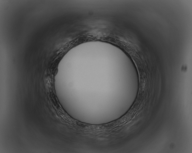 X0000095681397200801081052