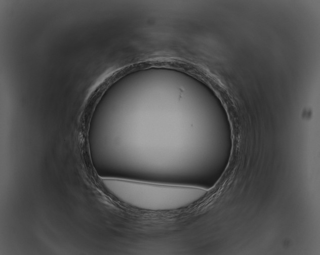 X0000095681400200801081052