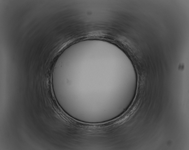 X0000095681401200801081052