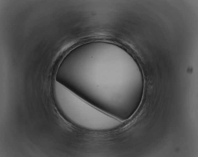 X0000095681402200801081052