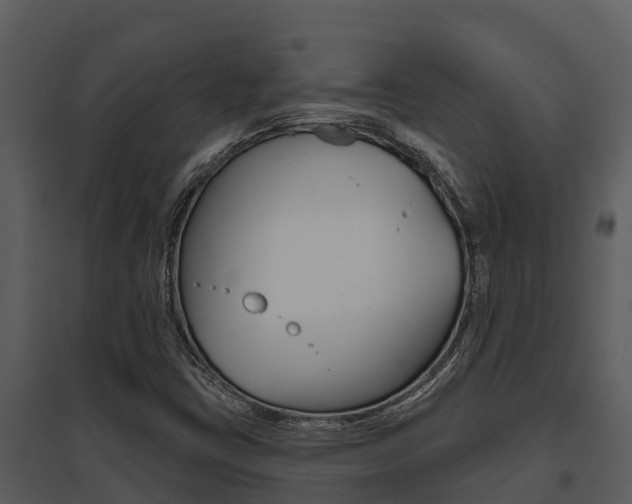 X0000095681403200801081052