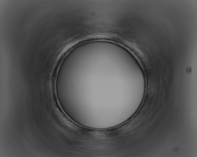 X0000095681404200801081052