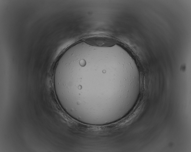 X0000095681405200801081052