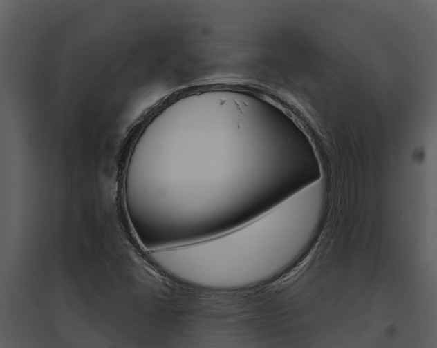 X0000095681406200801081052