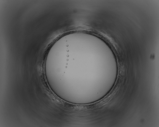X0000095681407200801081052
