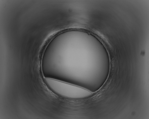 X0000095681408200801081052
