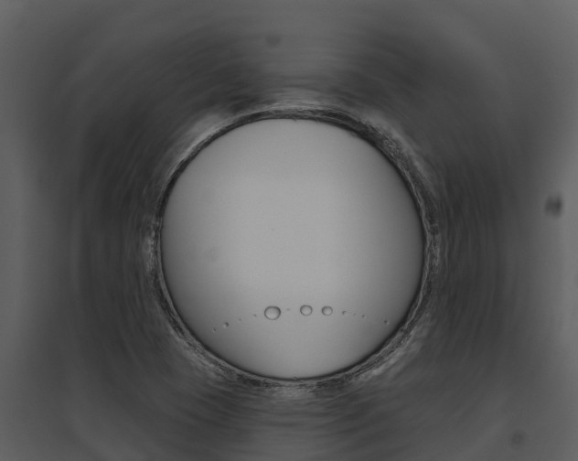 X0000095681409200801081052