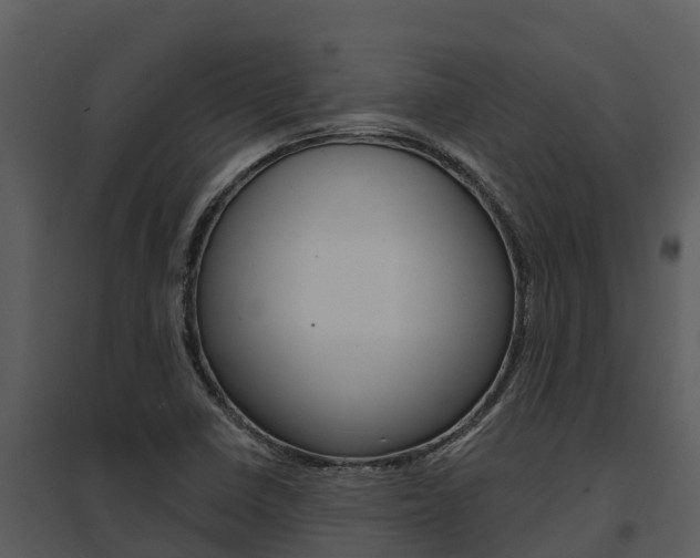 X0000095681410200801081052