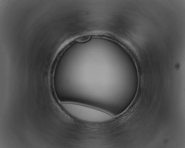 X0000095681412200801081052