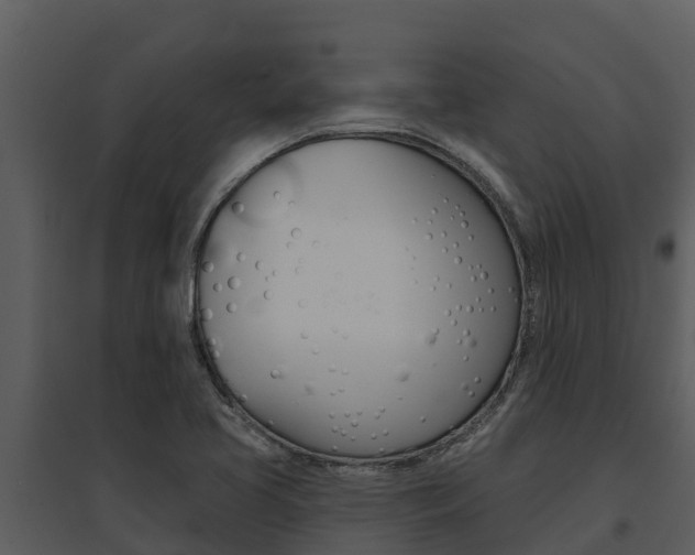 X0000095681413200801081052