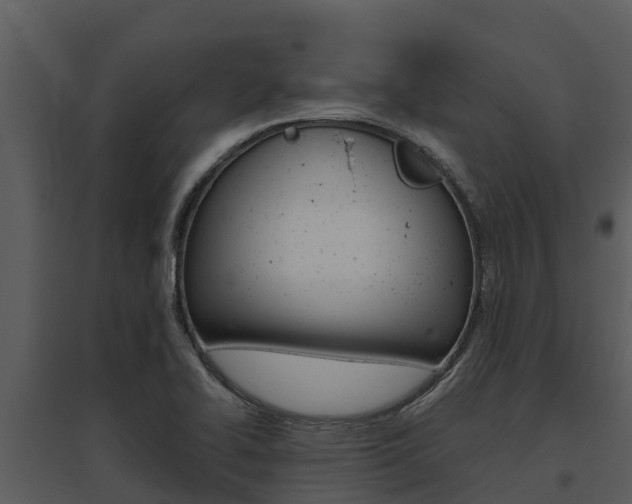 X0000095681414200801081052