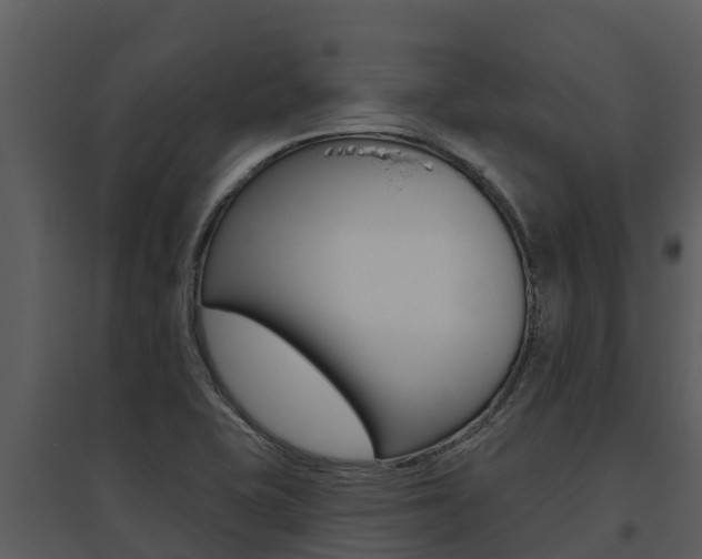 X0000095681415200801081052