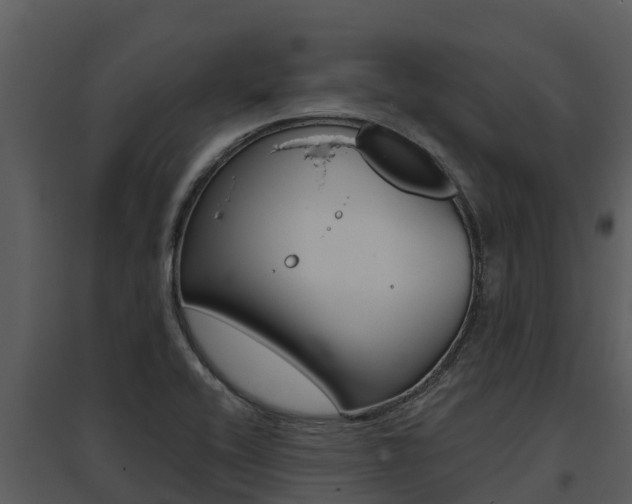 X0000095681416200801081052