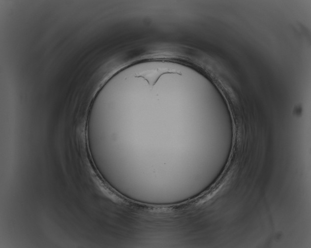 X0000095681417200801081052