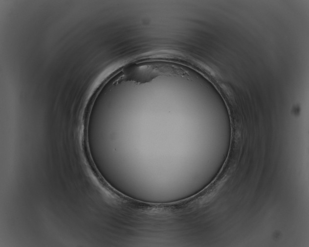 X0000095681418200801081052