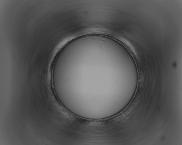 X0000095681419200801081052
