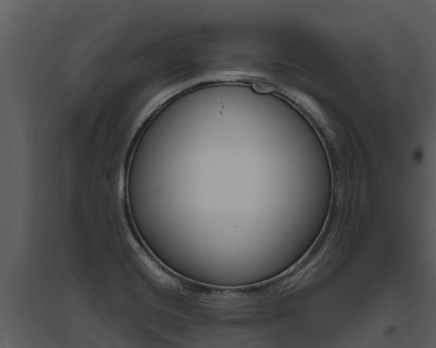 X0000095681420200801081052