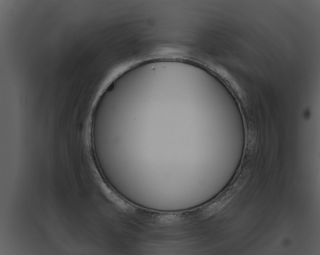 X0000095681421200801081052