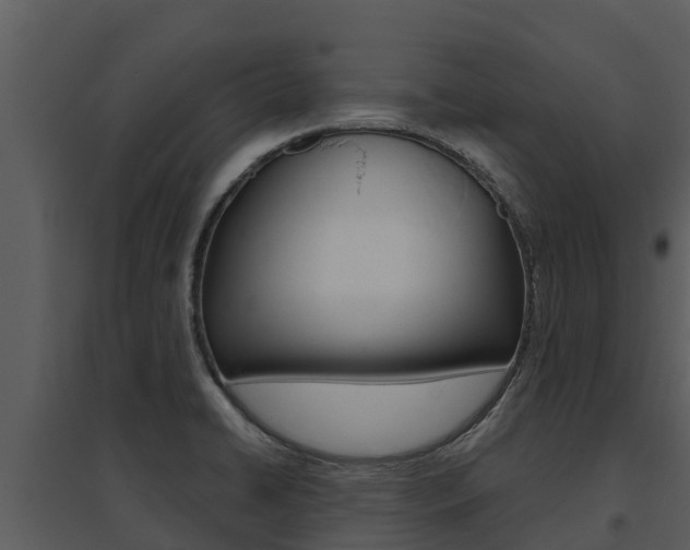 X0000095681422200801081052