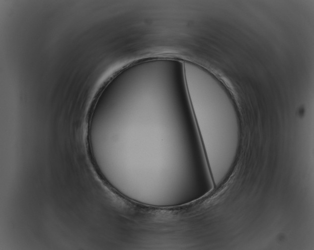 X0000095681424200801081052