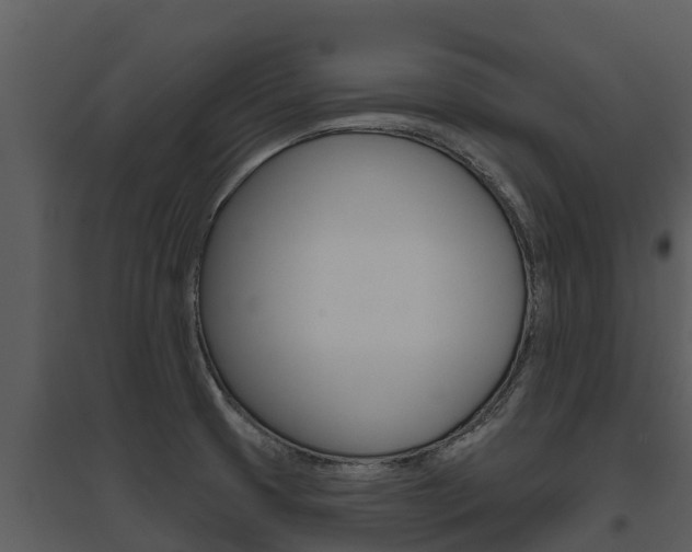 X0000095681425200801081052