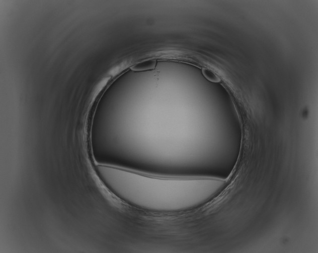 X0000095681426200801081052