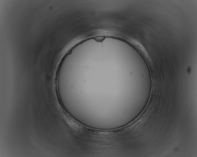 X0000095681427200801081053