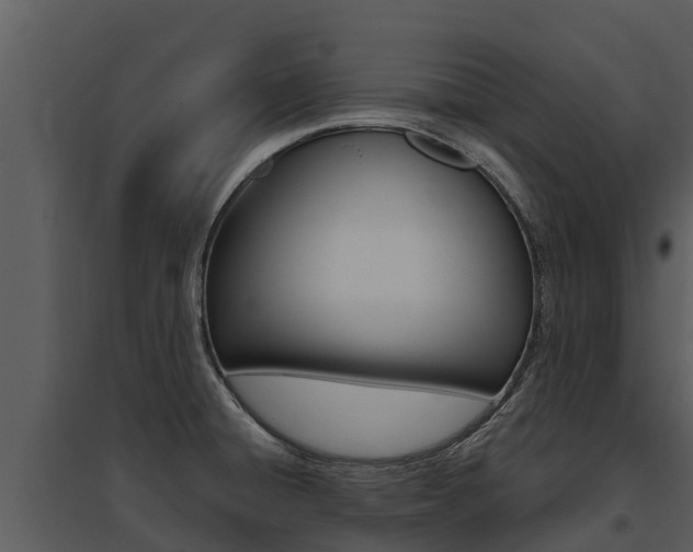X0000095681428200801081053