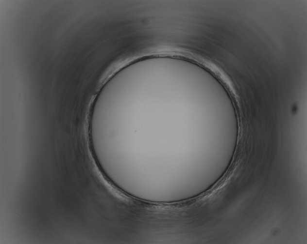 X0000095681429200801081053