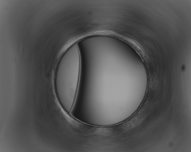 X0000095681430200801081053
