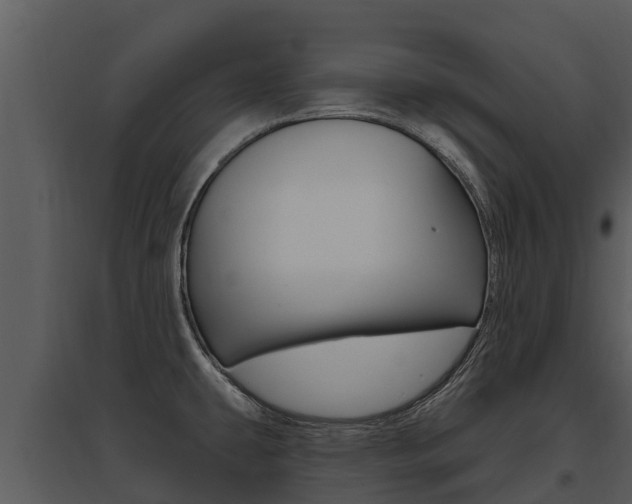 X0000095681431200801081053