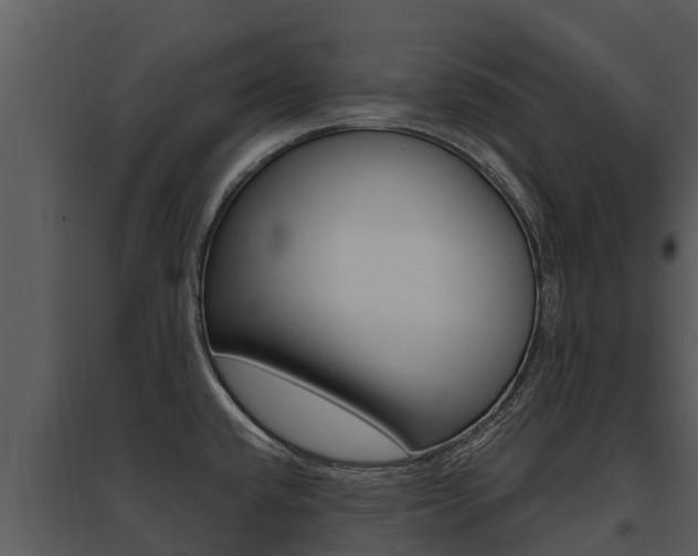X0000095681432200801081053