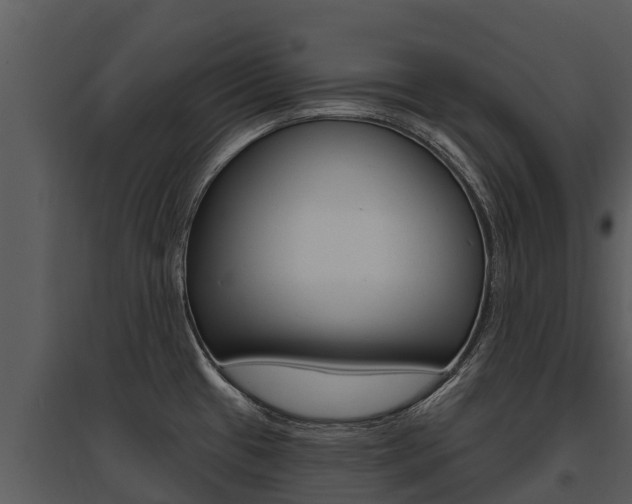 X0000095681433200801081053