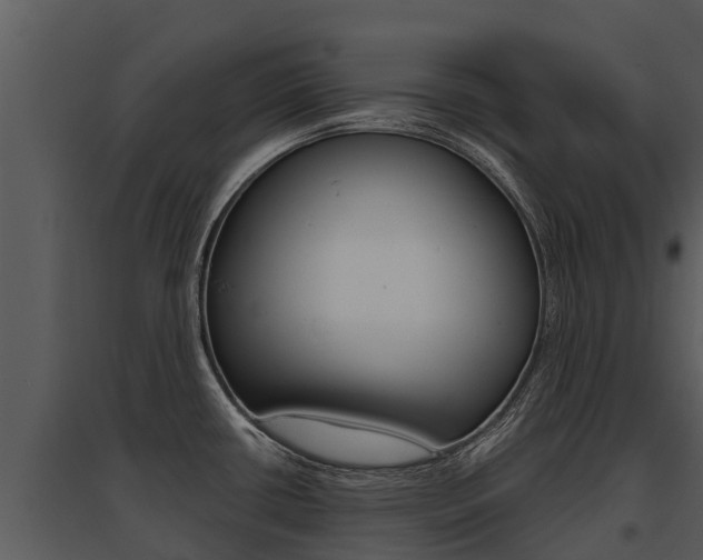 X0000095681434200801081053
