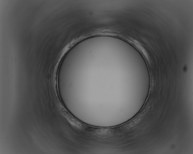X0000095681435200801081053