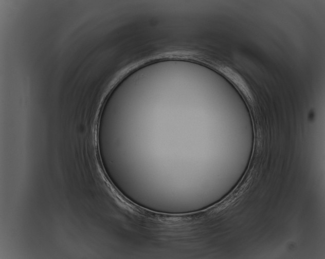 X0000095681436200801081053