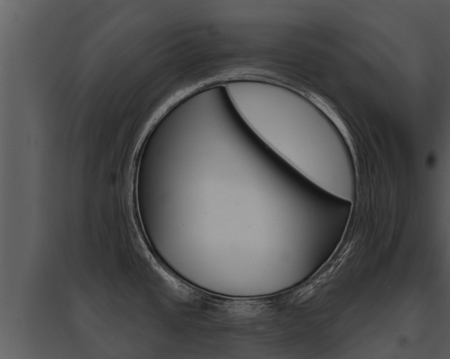 X0000095681437200801081053