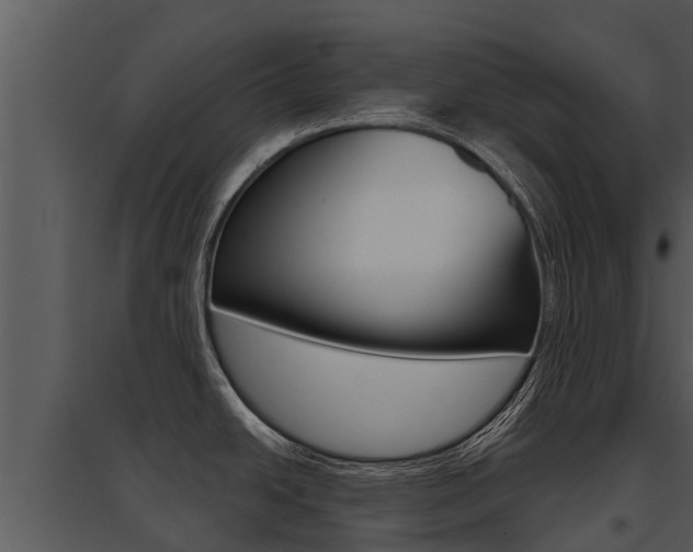 X0000095681438200801081053