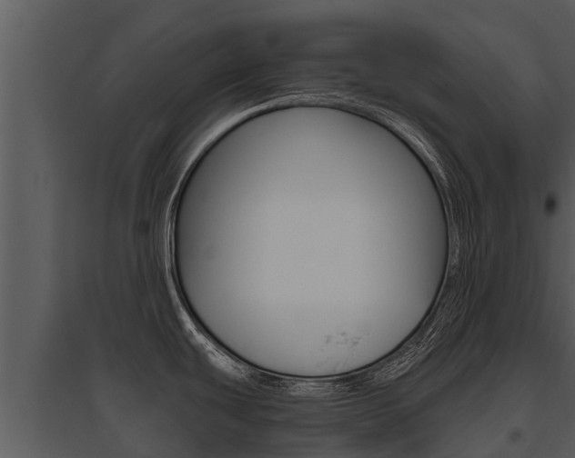 X0000095681439200801081053