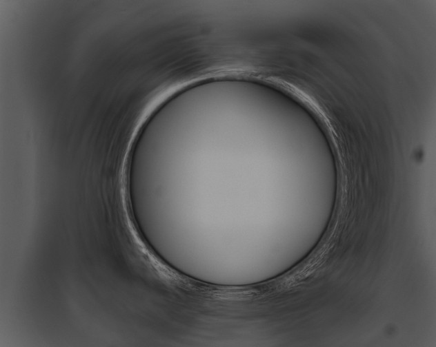 X0000095681440200801081053