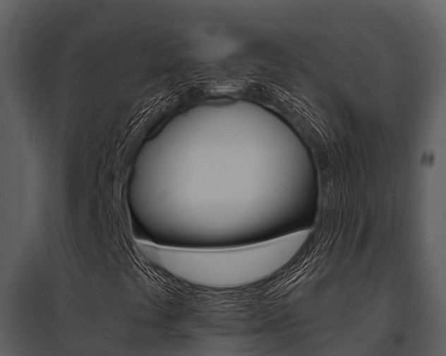 X0000095681441200801081052