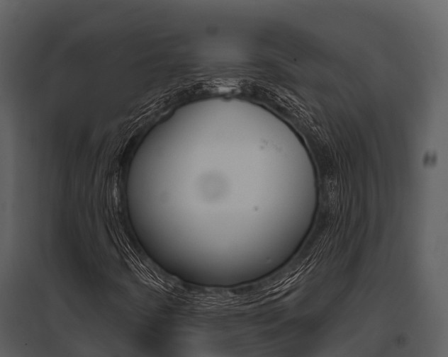 X0000095681442200801081052